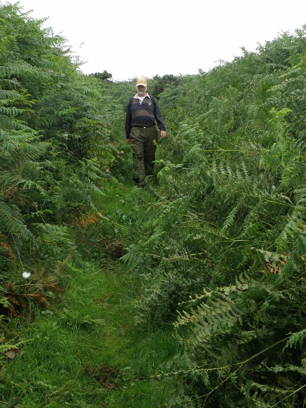 20100718d Heerlijke wandelingen hier.JPG